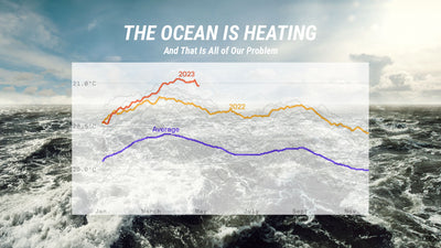 3 Reasons Climate Change and Ocean Temperatures Impact Everyone