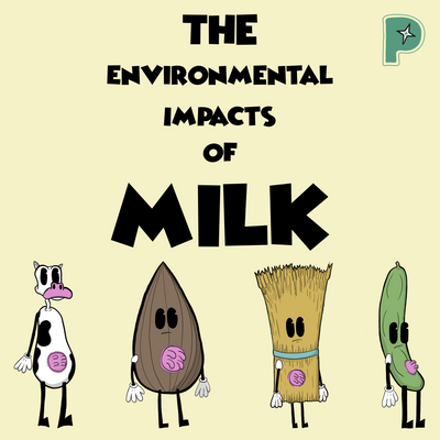 The Environmental Impacts of Dairy vs. Plant Based Milk