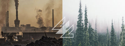 What the Hell is Climate Positive Anyway?