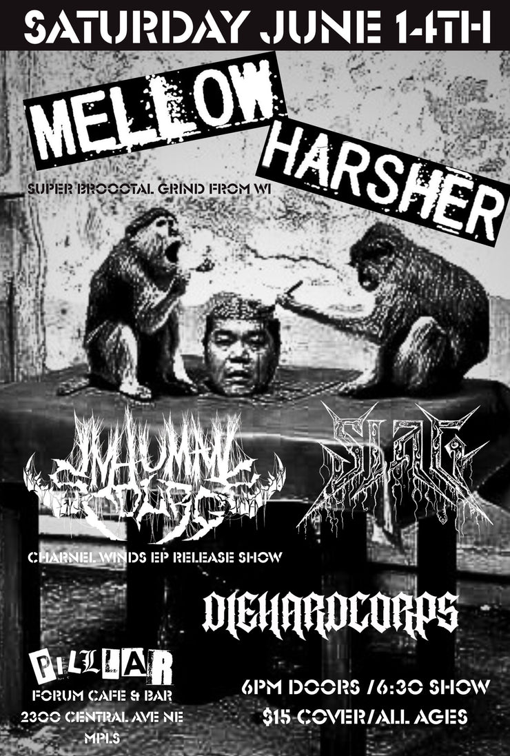 Music: Mellow Harsher - 6/14/2025